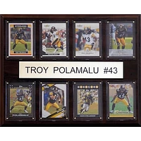 Troy Polamalu Pittsburgh Steelers 12'' x 15'' Plaque