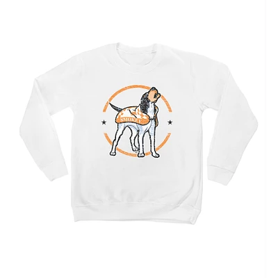 Youth White Tennessee Volunteers End Zone Pullover Sweatshirt