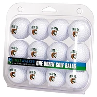 Florida A&M Rattlers 12-Pack Golf Ball Set