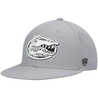 Men's Top of the World Gray Florida Gators Fitted Hat