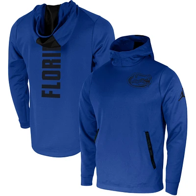 Men's Jordan Brand Royal Florida Gators 2-Hit Performance Pullover Hoodie