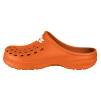 Youth FOCO Orange Clemson Tigers Sunny Day Clogs