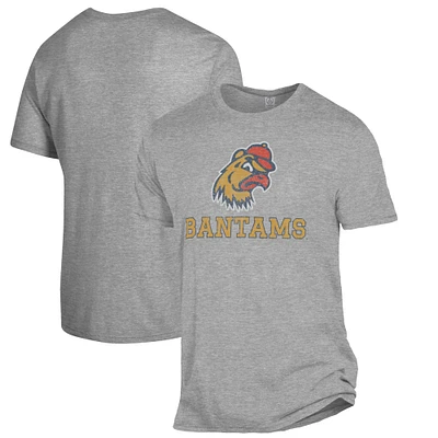 Men's Alternative Apparel Heathered Gray Trinity Bantams The Keeper T-Shirt