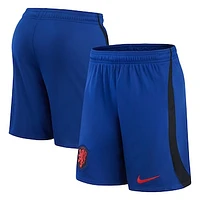 Men's Nike Royal Netherlands National Team Away Performance Stadium Shorts