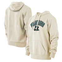 Men's New Era Cream Philadelphia Eagles Sideline Chrome Pullover Hoodie