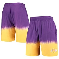 Men's Mitchell & Ness Purple/Gold Los Angeles Lakers Hardwood Classics Authentic Shorts