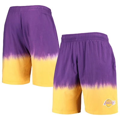 Men's Mitchell & Ness Purple/Gold Los Angeles Lakers Hardwood Classics Authentic Shorts