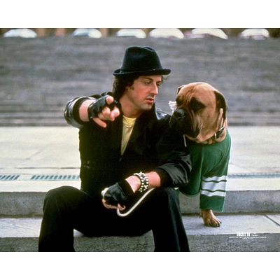 Rocky III Unsigned with Dog on Steps Photograph