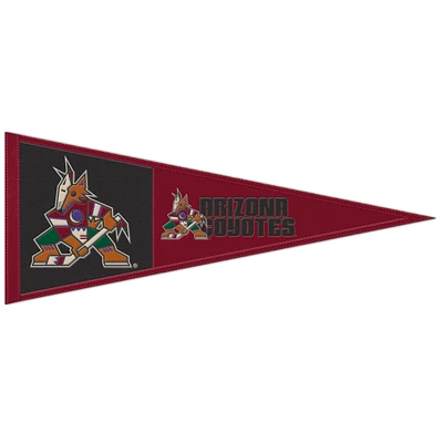 WinCraft Arizona Coyotes 13" x 32" Wool Primary Logo Pennant