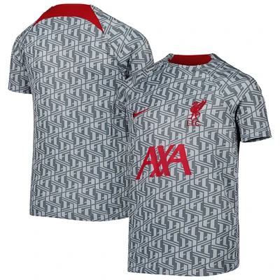 Youth Nike Gray Liverpool Pre-Match Top