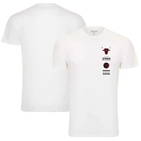 Unisex Sportiqe White Chicago Bulls 1966 Collection City Flag Bingham T-Shirt