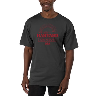 Men's Uscape Apparel Black Harvard Crimson Garment Dyed T-Shirt