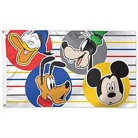 WinCraft Disney Characters 3' x 5' Single-Sided Deluxe Flag
