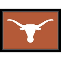 Imperial Texas Longhorns 7'8'' x 10'9'' Spirit Rug