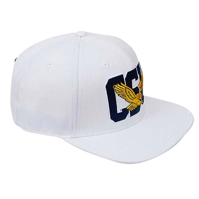 Men's Pro Standard White Coppin State Eagles  Evergreen Wool Snapback Hat