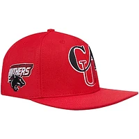 Men's Pro Standard  Red Clark Atlanta University Panthers Evergreen CAU Snapback Hat