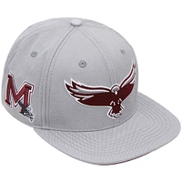 Men's Pro Standard  Gray Maryland Eastern Shore Hawks Evergreen Mascot Snapback Hat