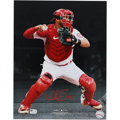 Willson Contreras St. Louis Cardinals Autographed 11" x 14" Spotlight Horizontal Photograph