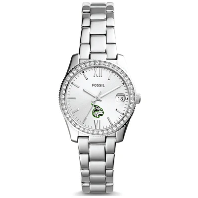 Women's Fossil  Silver Lesley Lynx Scarlette Mini Three-Hand Date Watch