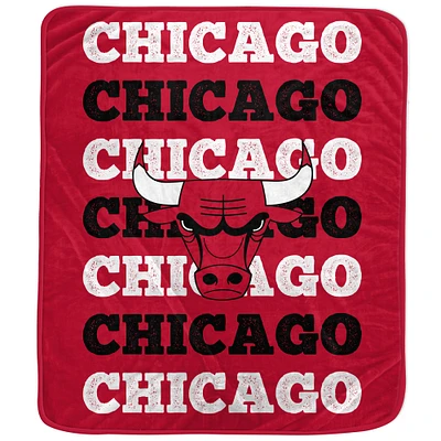 Pegasus Chicago Bulls 60'' x 70'' Logo Wordmark Plush Blanket