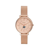Women's Fossil  Gold Florida Gators Jacqueline Rose Stainless Steel Watch