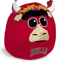 Pegasus Chicago Bulls Plushie Mascot Pillow with Features