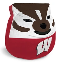 Pegasus Wisconsin Badgers Plushie Mascot Pillow with Features