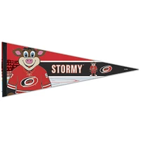 WinCraft Carolina Hurricanes 12" x 30" Mascot Premium Pennant