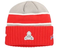 Men's New Era Gray Buffalo Bills 2024 NFL Pro Bowl Cuffed Knit Hat