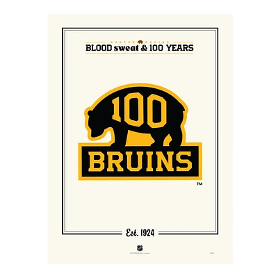 Boston Bruins Centennial 12" x 16" Alternate Logo Print
