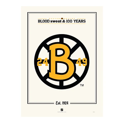 Boston Bruins Centennial 12" x 16" Spoke "B" Print
