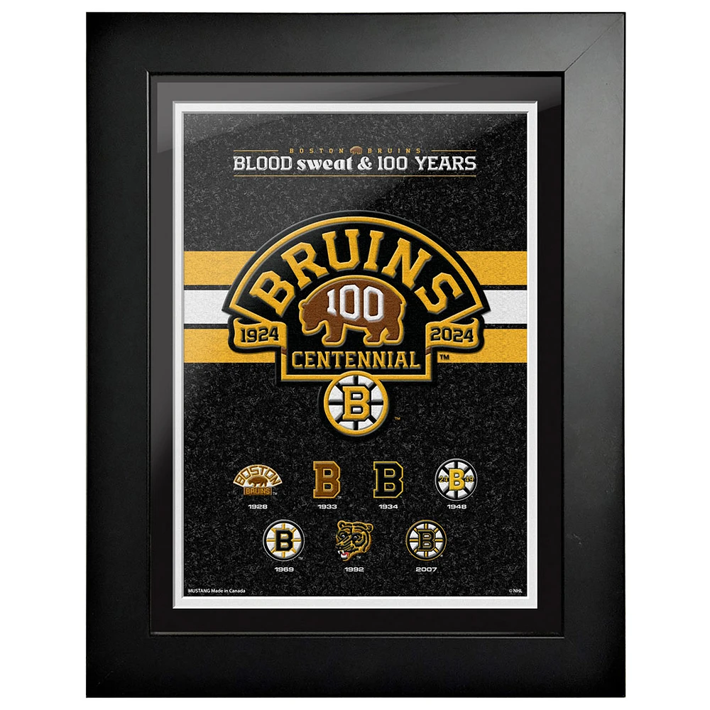 Boston Bruins Centennial 12" x 16" Logo History Framed Print