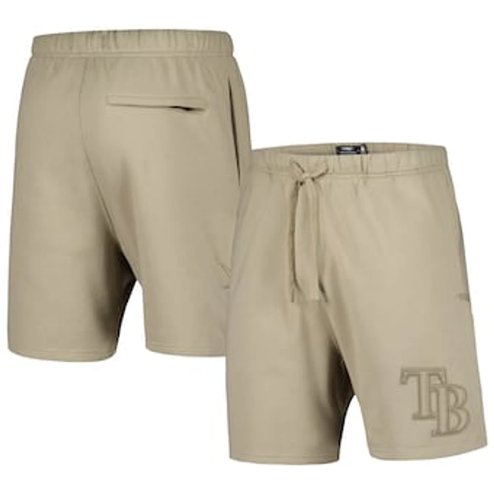 Men's Pro Standard Pewter Tampa Bay Rays Neutral Fleece Shorts