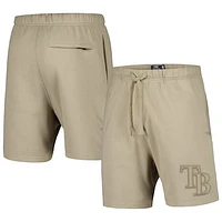 Men's Pro Standard Pewter Tampa Bay Rays Neutral Fleece Shorts