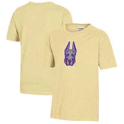 Youth UAlbany Great Danes Logo Comfort Wash T-Shirt