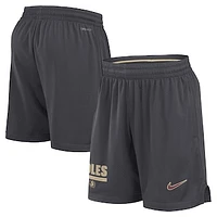 Men's Nike Anthracite Florida State Seminoles 2024 Sideline Mesh Shorts