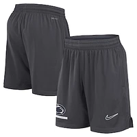 Men's Nike Anthracite Penn State Nittany Lions 2024 Sideline Mesh Shorts