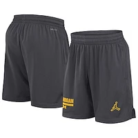 Men's Jordan Brand Anthracite Michigan Wolverines 2024 Sideline Mesh Shorts