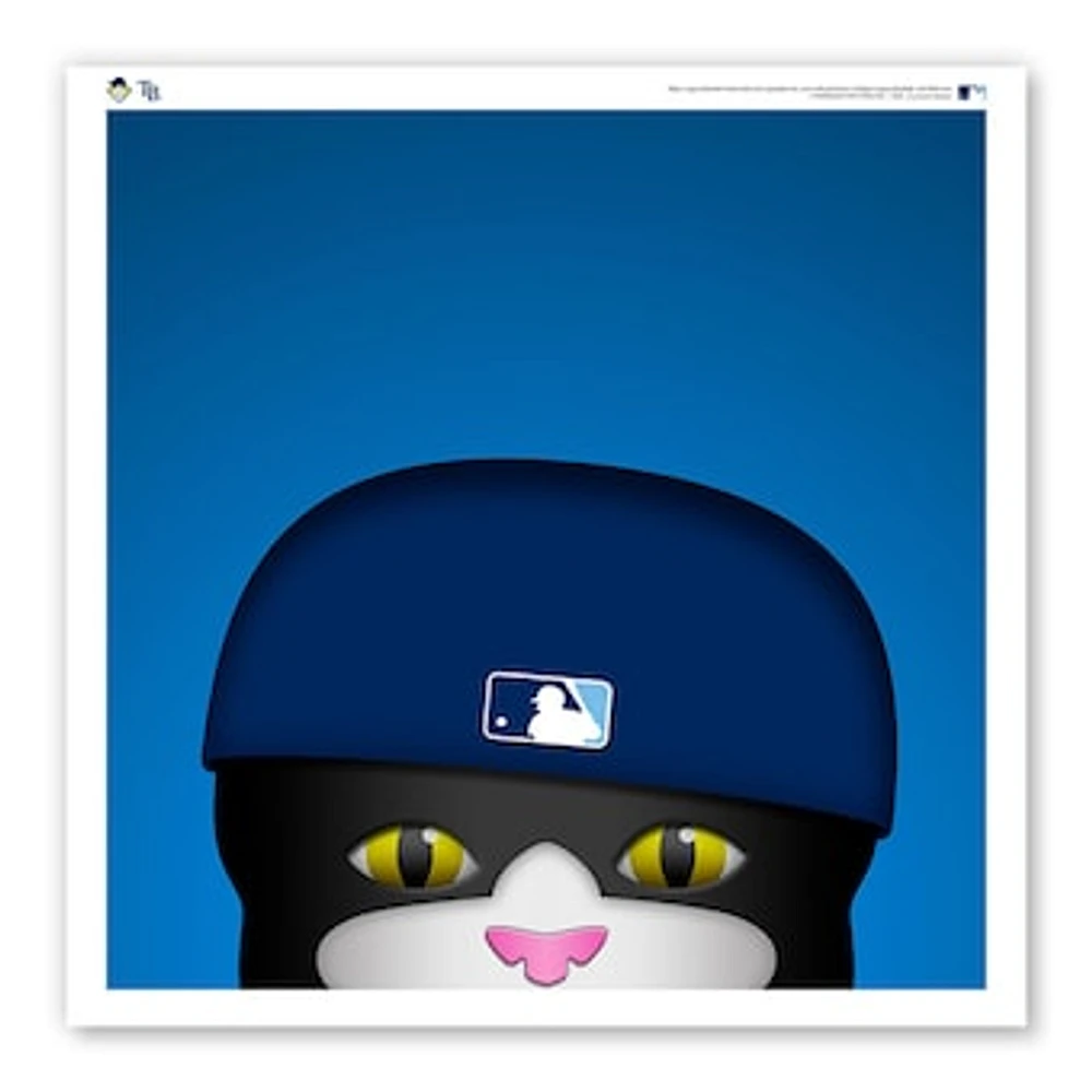 Tampa Bay Rays 12" x 12" DJ Kitty Poster Print