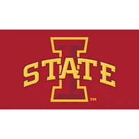 Iowa State Cyclones 28" x 16" Turf Mat