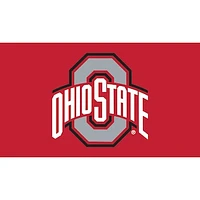 Ohio State Buckeyes 28" x 16" Turf Mat