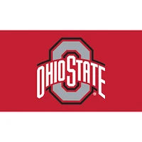 Ohio State Buckeyes 28" x 16" Turf Mat