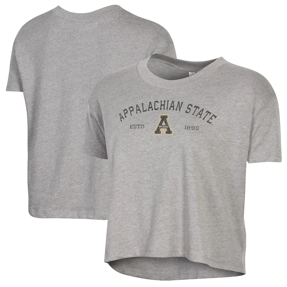 Women's Alternative Apparel Gray Appalachian State Mountaineers Retro Jersey Headliner Cropped T-Shirt