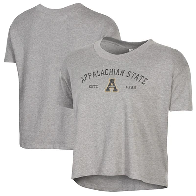 Women's Alternative Apparel  Gray Appalachian State Mountaineers Retro Jersey Headliner Cropped T-Shirt