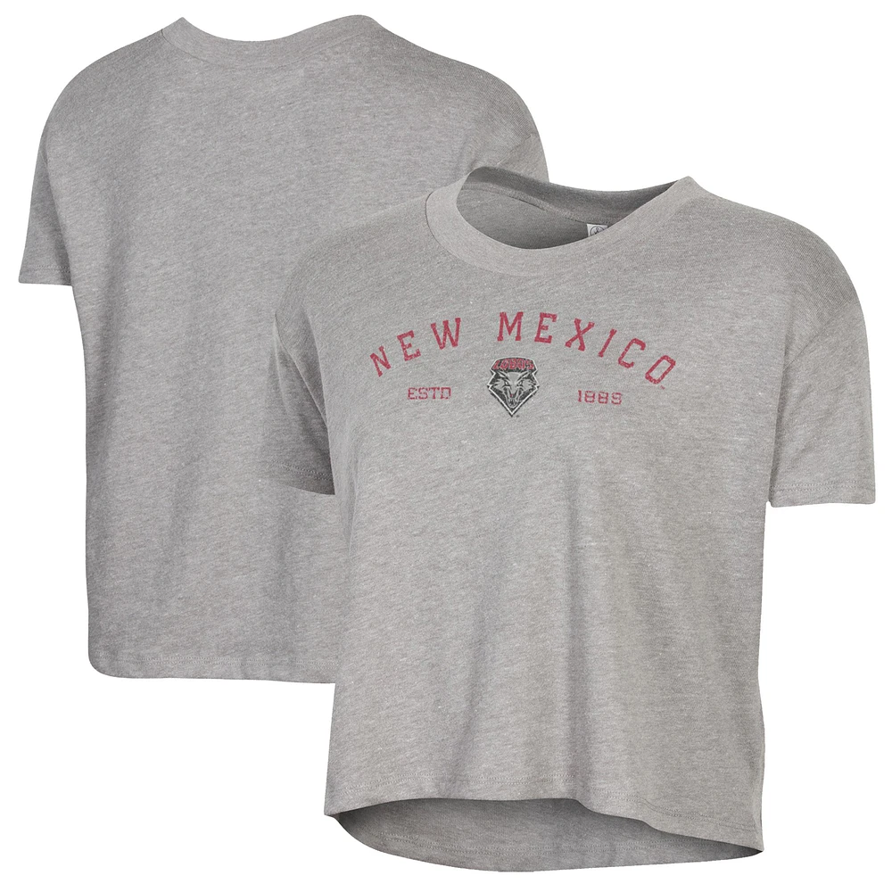Women's Alternative Apparel Gray New Mexico Lobos Retro Jersey Headliner Cropped T-Shirt