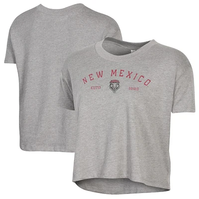 Women's Alternative Apparel  Gray New Mexico Lobos Retro Jersey Headliner Cropped T-Shirt