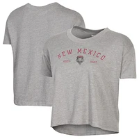 Women's Alternative Apparel  Gray New Mexico Lobos Retro Jersey Headliner Cropped T-Shirt