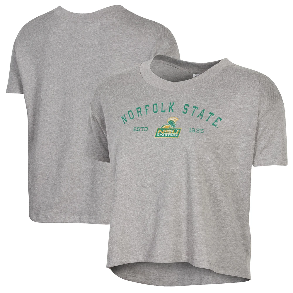 Women's Alternative Apparel Gray Norfolk State Spartans Retro Jersey Headliner Cropped T-Shirt