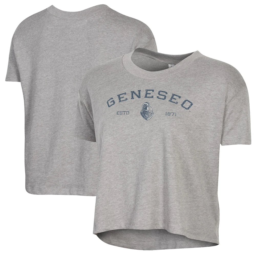 Women's Alternative Apparel Gray SUNY Geneseo Knights Retro Jersey Headliner Cropped T-Shirt