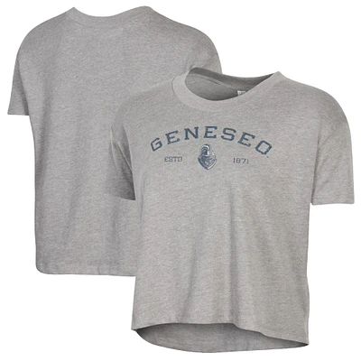 Women's Alternative Apparel  Gray SUNY Geneseo Knights Retro Jersey Headliner Cropped T-Shirt